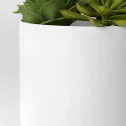 Succulent Arrangement In White Pot - Room Essentials™ -Room Essentials GUEST 00aec972 d4be 4f1a b05e ea90b105bc19