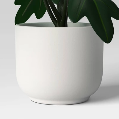 Core Plant Multipack In White Pot - Room Essentials™ 5 Core Plant Multipack In White Pot - Room Essentials™ - Image 5
