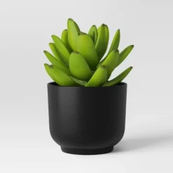 Succulent Artificial In Black Pot - Room Essentials™ -Room Essentials GUEST 387d5204 6cab 4da6 b98f 085ca52eae75