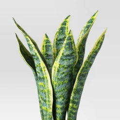 Snake Artificial Potted Plant - Room Essentials™ 4 Snake Artificial Potted Plant - Room Essentials™ -Room Essentials GUEST 599d0db2 b2f3 4a18 83d9 28e08d5555d4