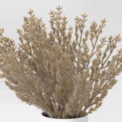 Tan Grass Mini Arrangement - Room Essentials™ -Room Essentials GUEST 751e770f ed5a 4208 be86 5f1c950060d4
