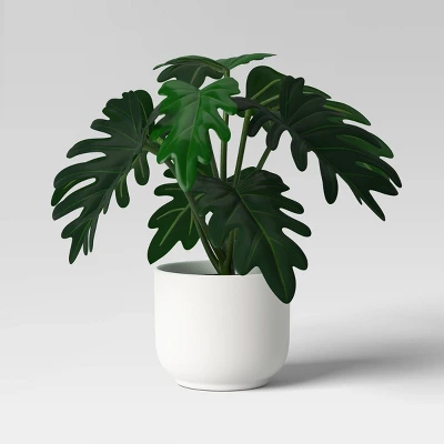 Core Plant Multipack In White Pot - Room Essentials™ 4 Core Plant Multipack In White Pot - Room Essentials™ - Image 4