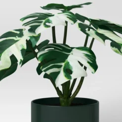 3pk 7.87" Monstera Artificial Plants - Room Essentials™ -Room Essentials GUEST b353e242 fcb5 4c4c affc ddf91298a192