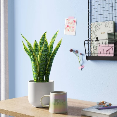 Snake Artificial Potted Plant - Room Essentials™ 1 Snake Artificial Potted Plant - Room Essentials™