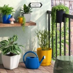 2gal Plastic Watering Can Cobalt Blue - Room Essentials™